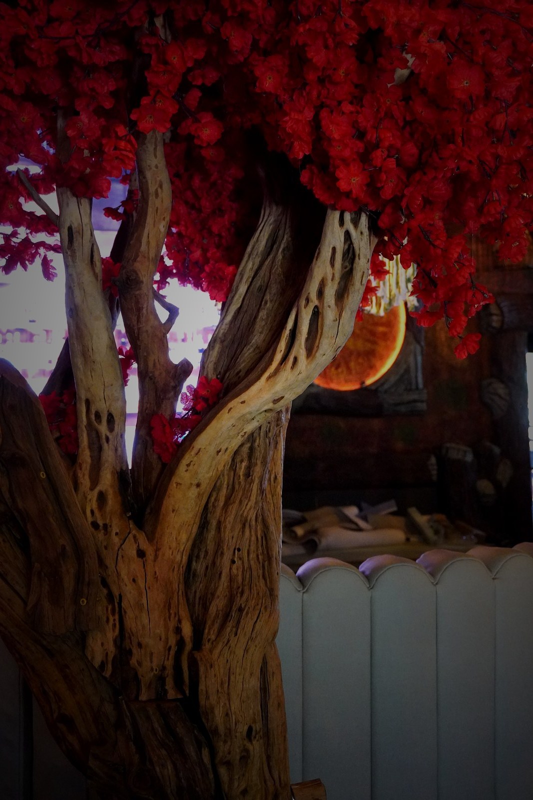 Casa Tequila Prime dramatic interior — red flowering tree and warm amber glow